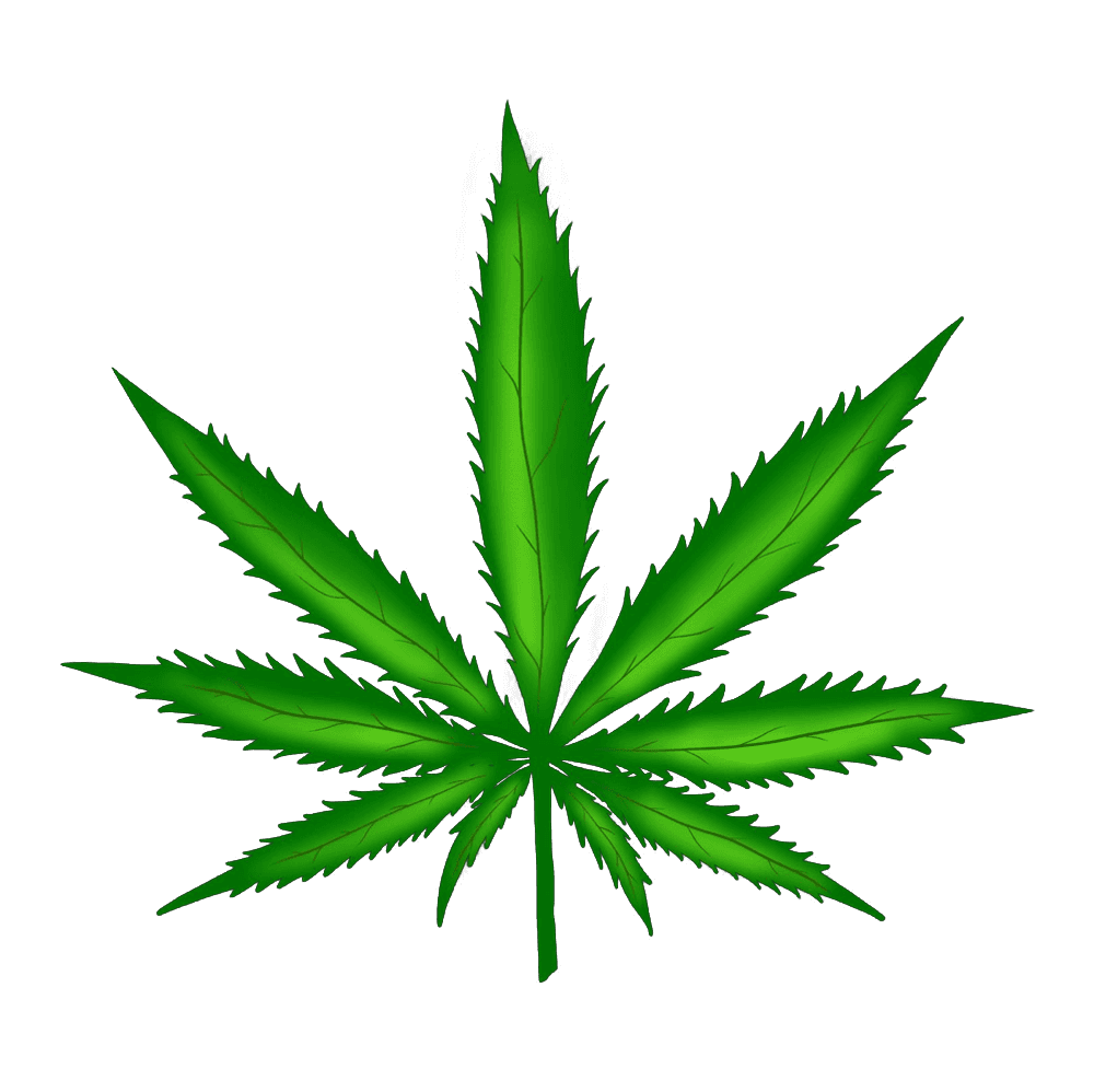 Cannabis Leaf drawn from scratch in Photoshop.
